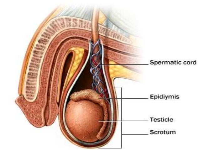 Interracial cum facial Allergic reaction to sperm symptons